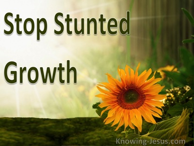 Stop Stunted Growth - Growing In Grace (5)